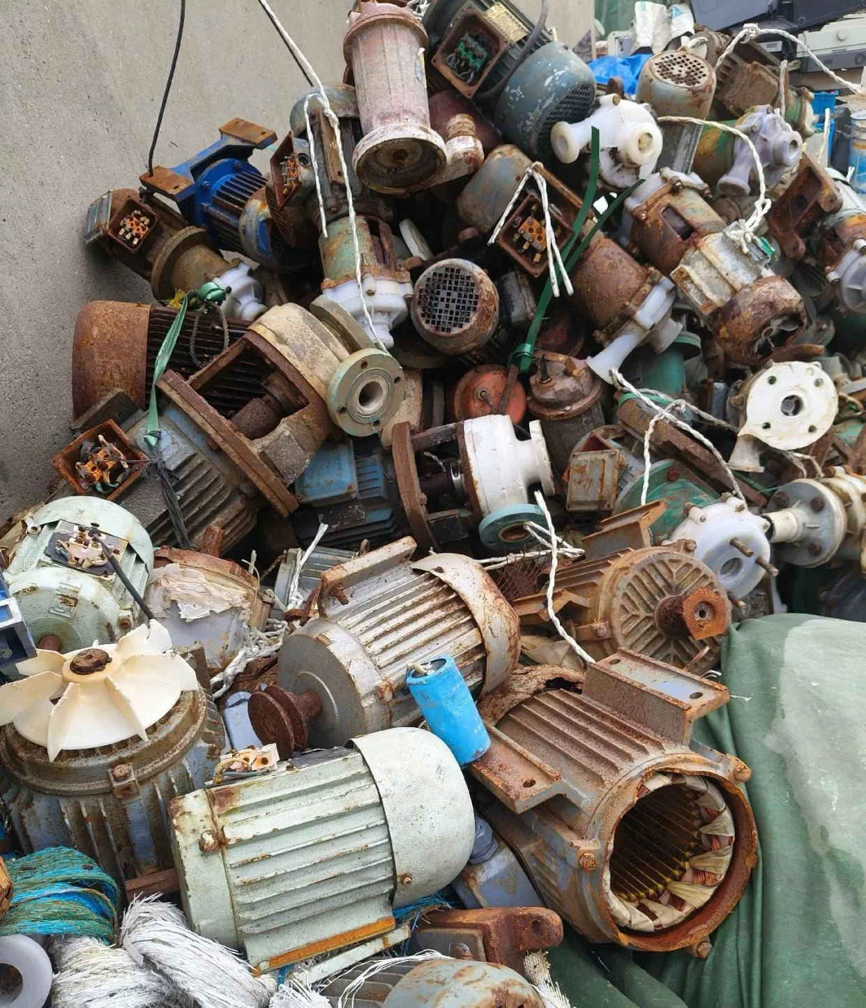 Waste Motor and Motor Rotor